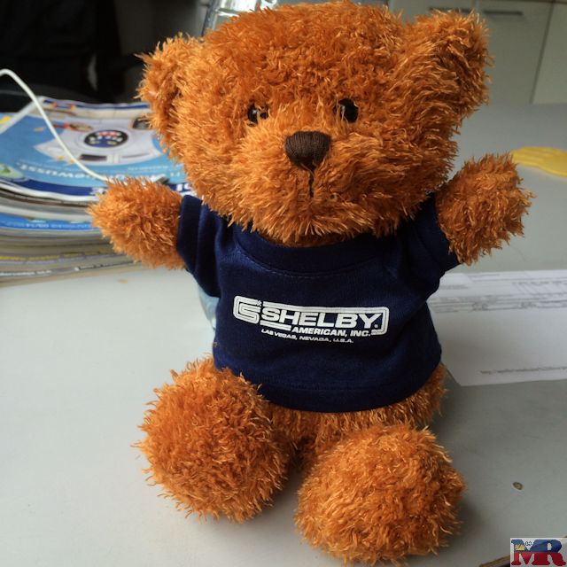 Shelby Bear