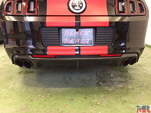 Carbon Shelby GT500